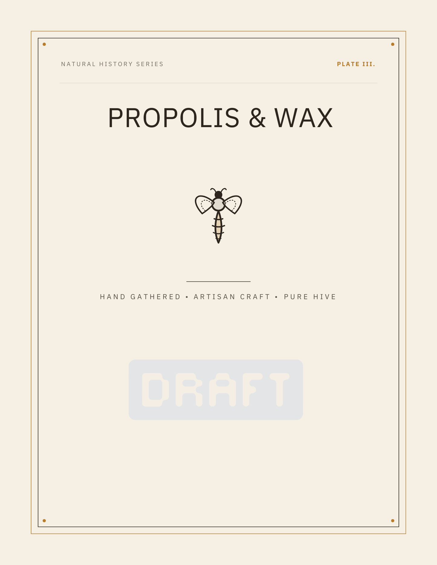 Vintage Naturalist Apiary Collection Printable Wall Art Set (Trio)