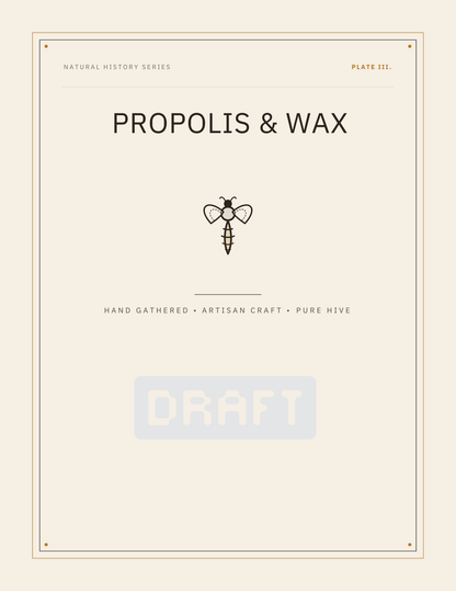 Vintage Naturalist Apiary Collection Printable Wall Art Set (Trio)