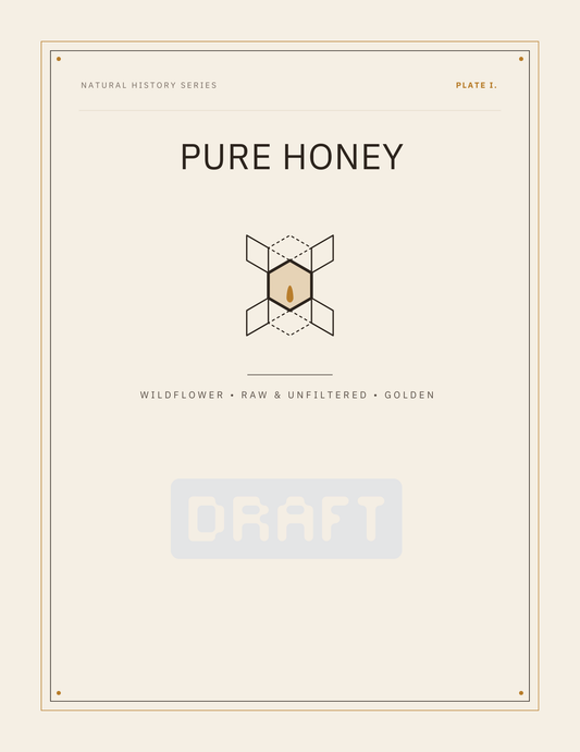 Vintage Naturalist Apiary Collection Printable Wall Art Set (Trio)