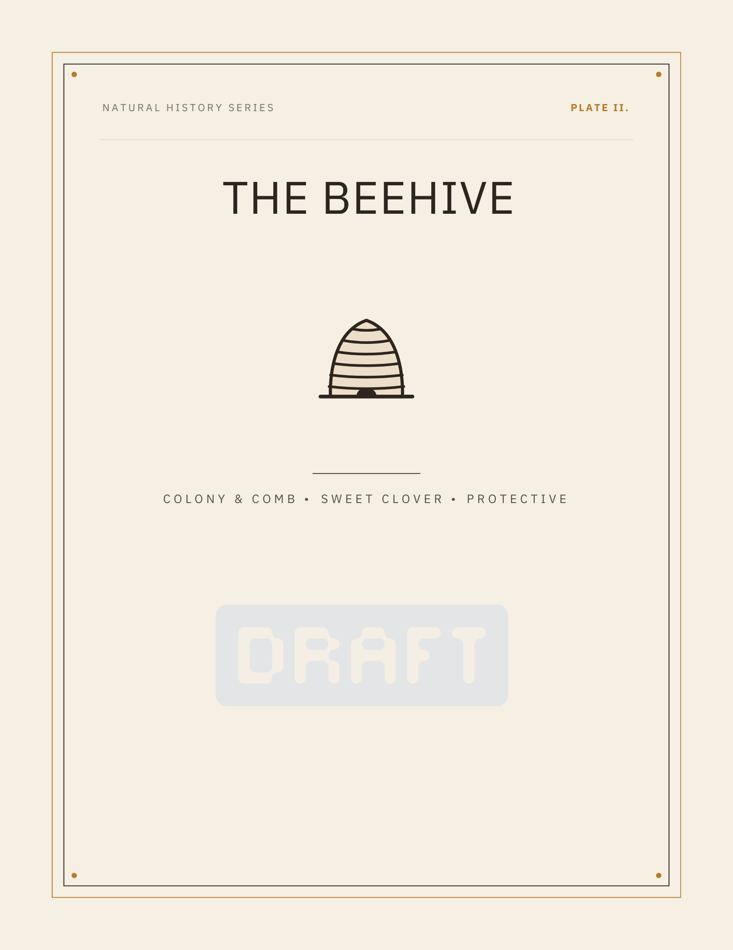 Vintage Naturalist Apiary Collection Printable Wall Art Set (Trio)