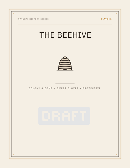 Vintage Naturalist Apiary Collection Printable Wall Art Set (Trio)